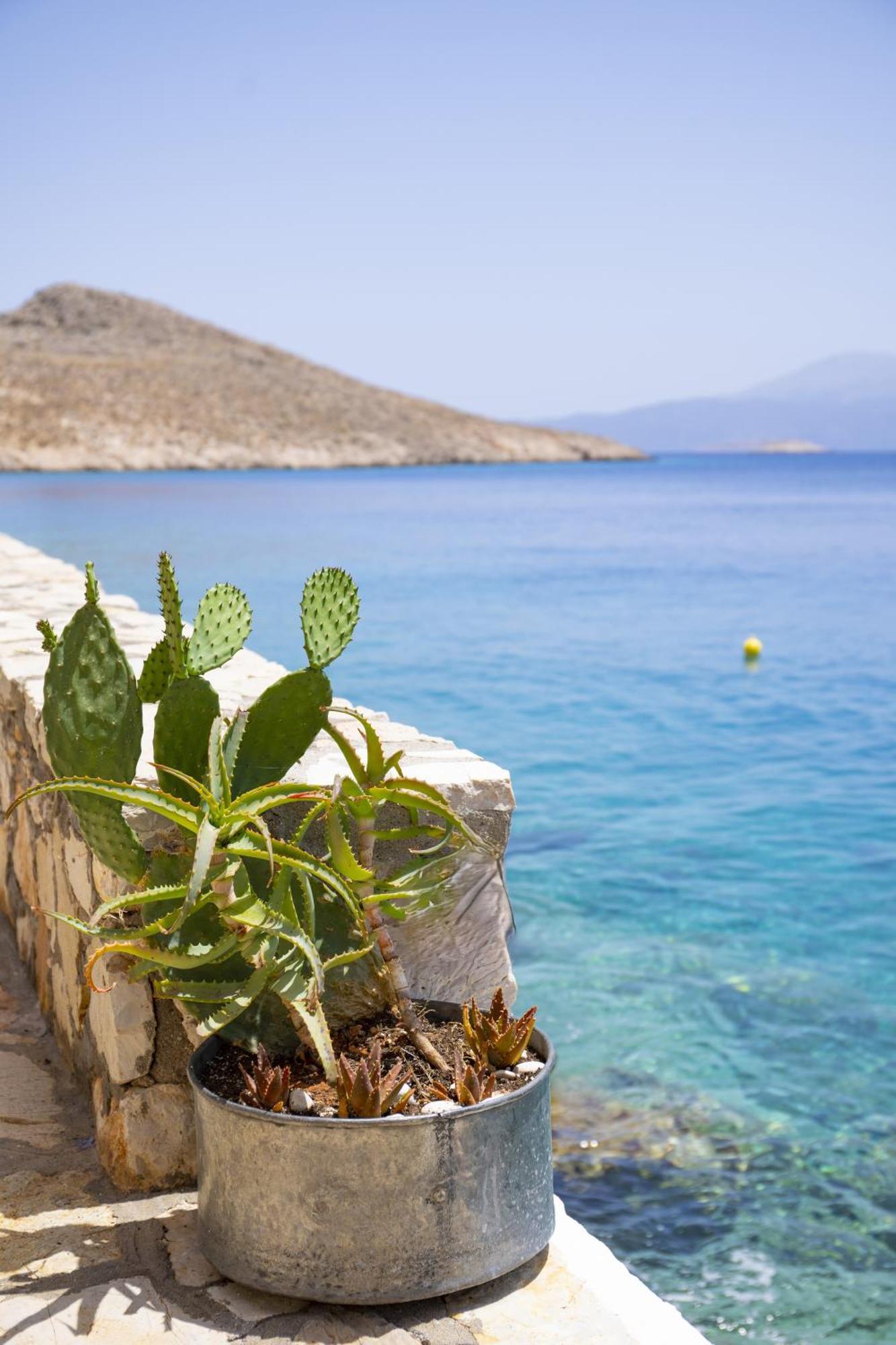 Villa Electra Chalki Town Екстериор снимка
